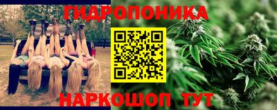 МДПВ Гусев