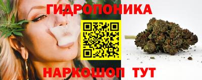 прущие грибы Гусь-Хрустальный