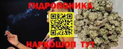 прущие грибы Гусь-Хрустальный