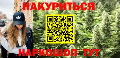 МДПВ Гусев