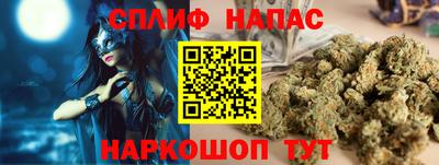 МДПВ Гусев