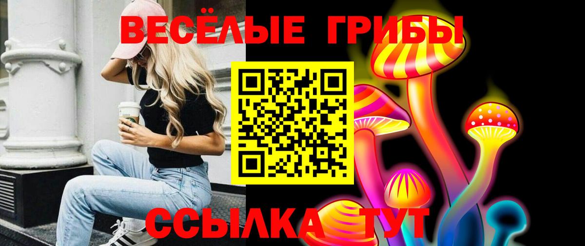 Галлюциногенные грибы Cubensis  Вход с VPN  Псилоцибиновые грибы GOLDEN TEACHER  Медногорск 